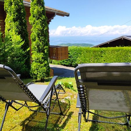 Chalet La Trouvaille Thollon-les-Memises 外观 照片