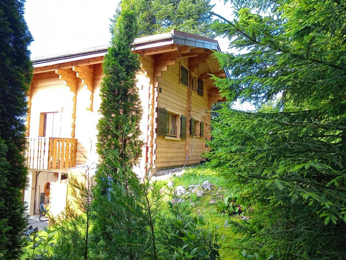 Chalet La Trouvaille Thollon-les-Memises 外观 照片