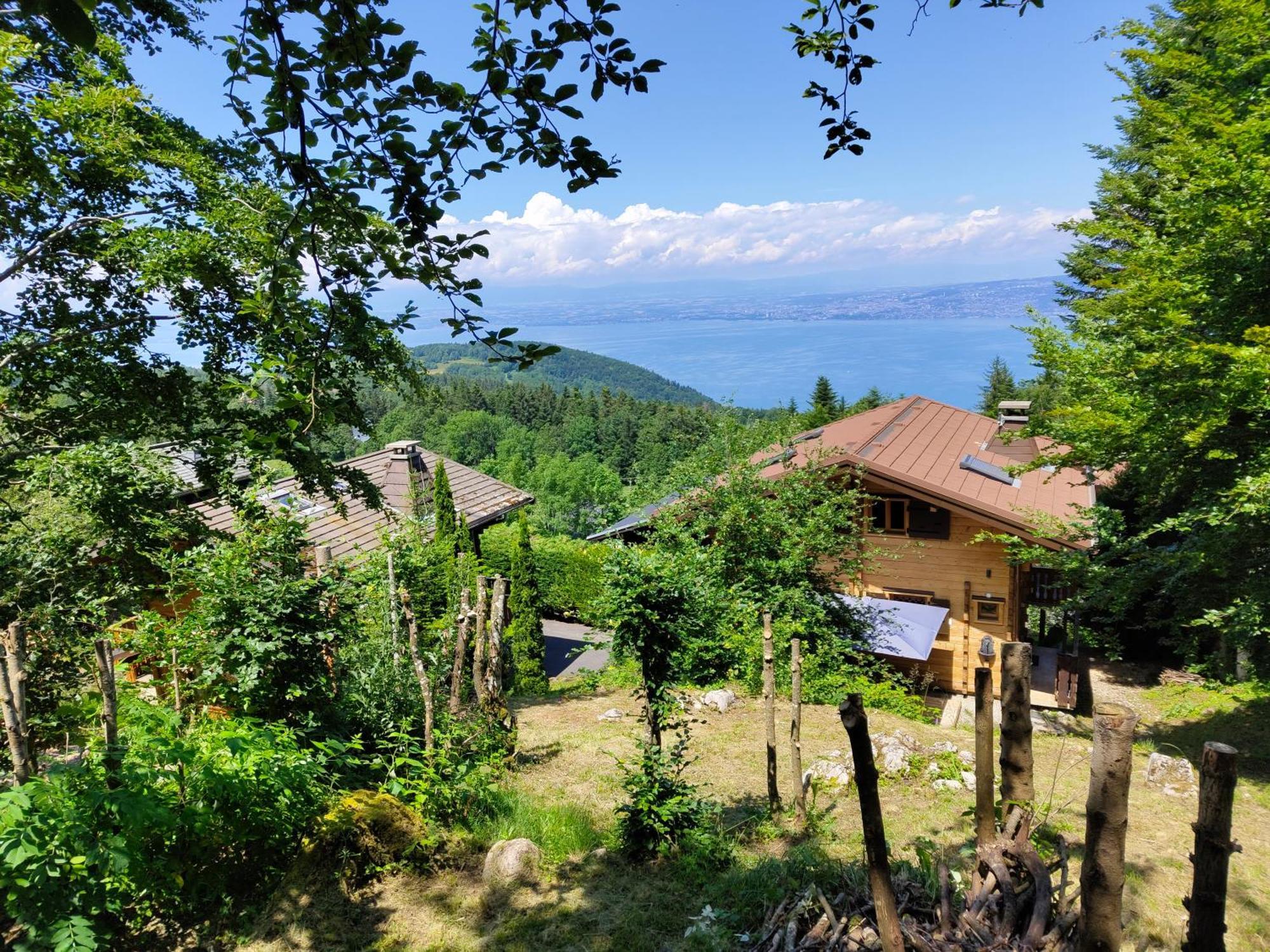 Chalet La Trouvaille Thollon-les-Memises 外观 照片